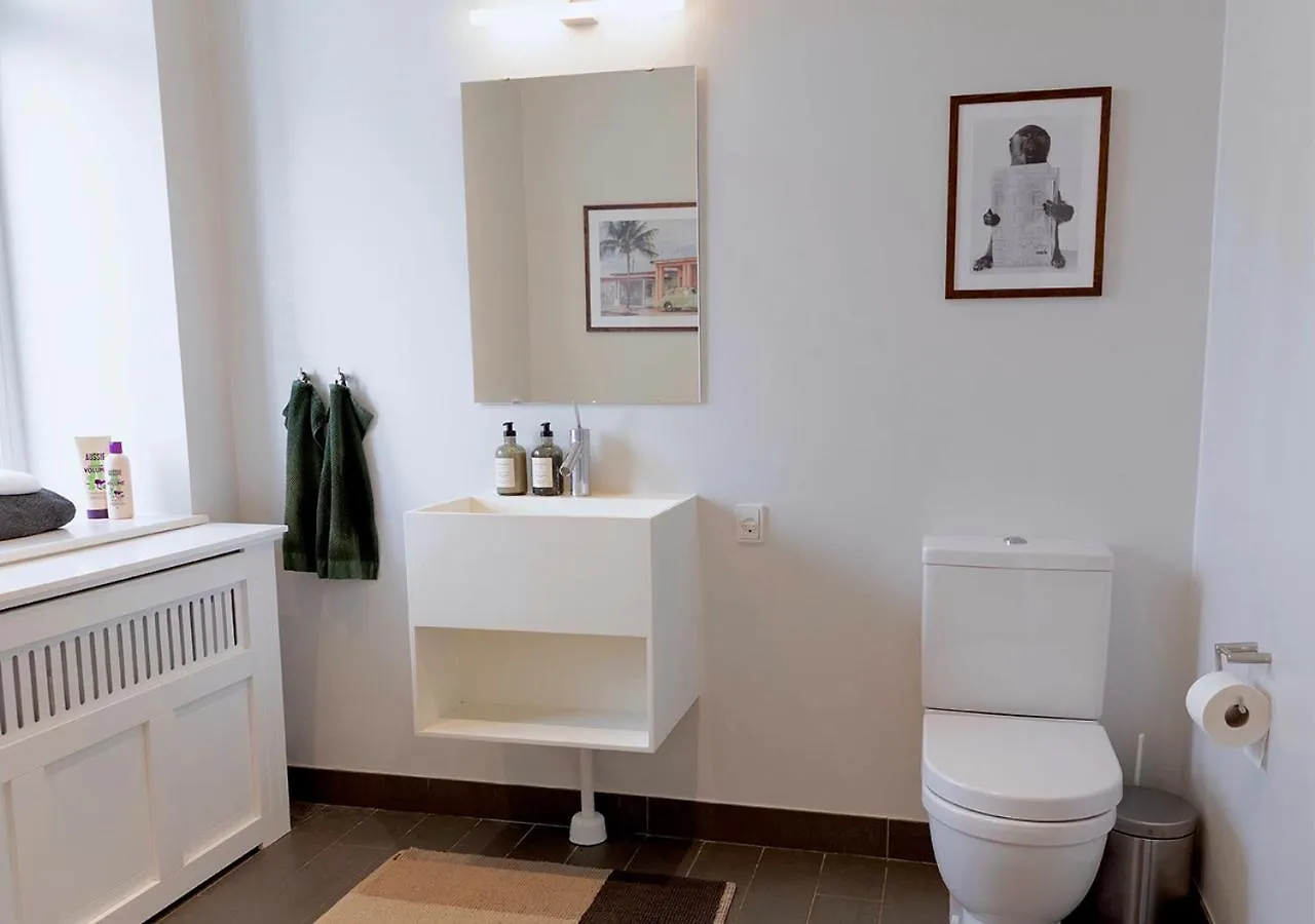 Central City Apartment In Copenhagen Denmark